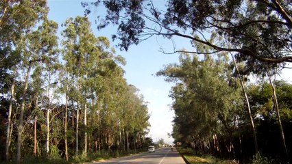 85 km, Treino em pistas com velocidade e giro alto, livre, Taubaté, Tremembé, SP, Brasil, 28 de abril de 2015, Marcelo Ambrogi, Equipe Sasselos Team, (60)