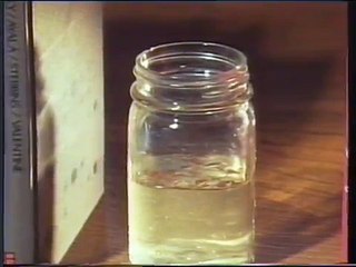 BIOLOGÍA CELULAR: LA CÉLULA Y SU FUNCIONAMIENTO (EA)