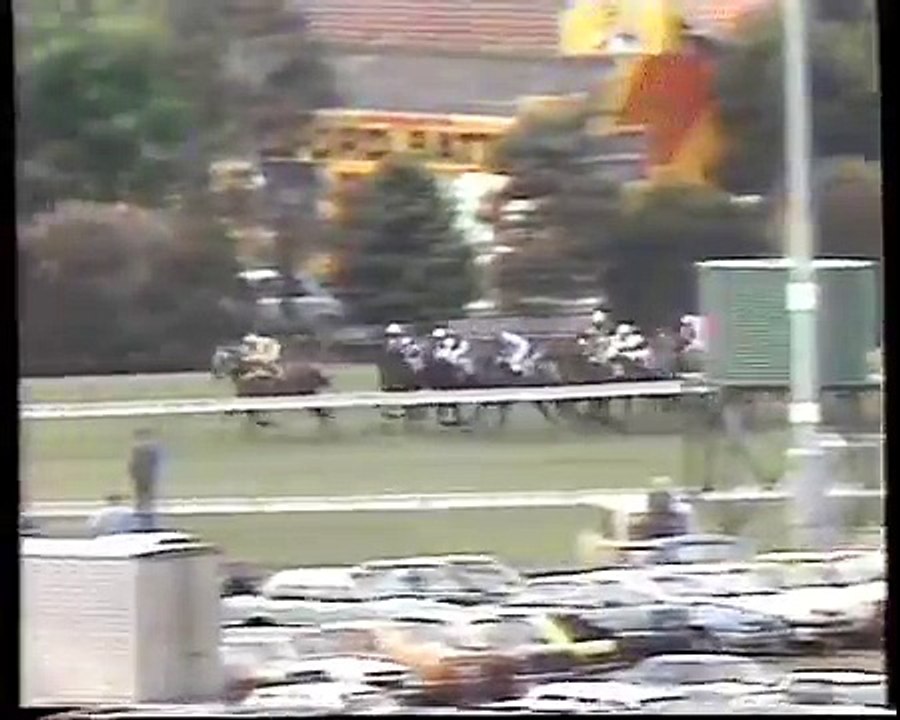 1986 Cox Plate (Bill Collins version)