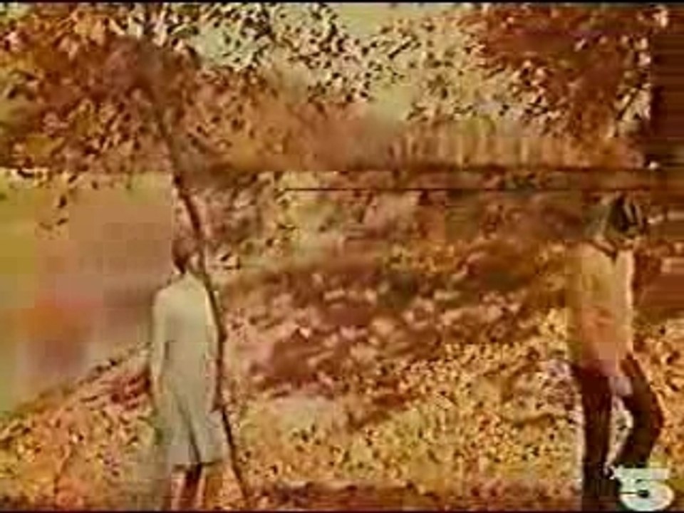 Vilard Hervé - Capri c est fini