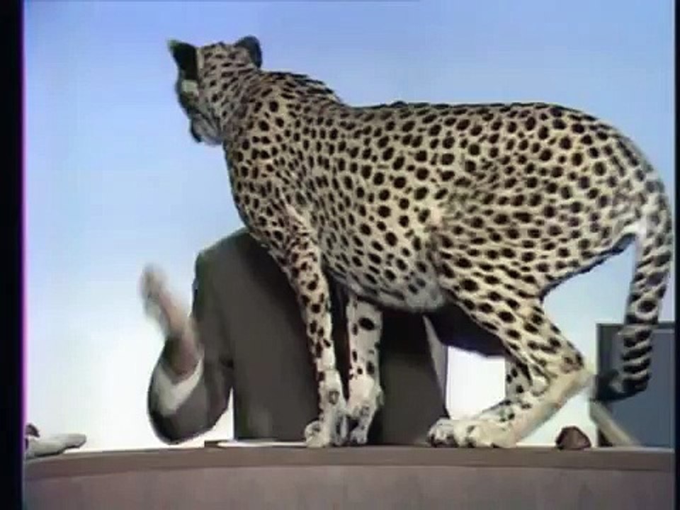 Ein Platz für Tiere II, Grzimek (TV-Show, BRD 1969)