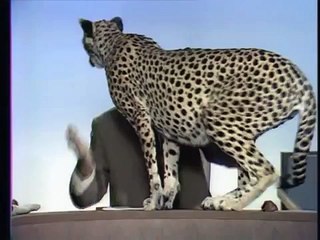 Ein Platz für Tiere II, Grzimek (TV-Show, BRD 1969)