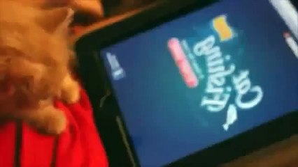 Download Video: Funny Video Little Kitten Playing iPad MUST SEE TOPTEN10@FUNNY?syndication=228326