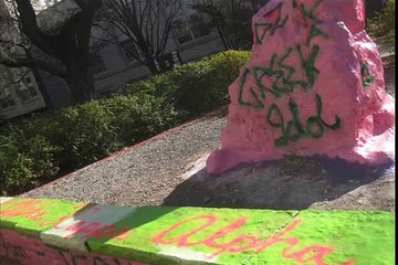 A Serious Matter - Alpha Kappa Alpha and the Idolatry of Sorority Membership - Intro