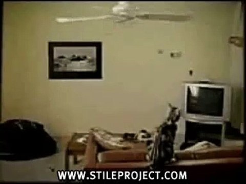 Nokia 3650 Advert - Cat in ceiling fan