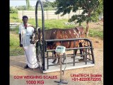 Tamil Nadu Veterinary and Animal Weighing Scales Manufacturers and Suppliers in Tirupur, UmaTECH Wei
