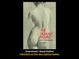 Download The Human Figure Dover Anatomy for Artists By John H Vanderpoel PDF