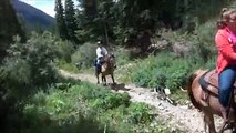 Crested Butte, Colorado Trail Riding on Tennessee Walking Horses