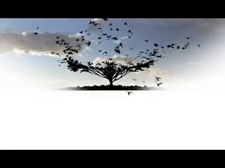 NATURE | Crime Scene Creatures | Preview | PBS