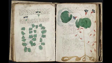 Voynich manuscript. All pages scanned (undeciphered language)