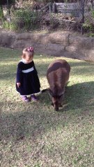 2-year-old cuddles with baby kangaroo
