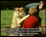 Una delle storie più commoventi.L'incredibile storia del leone Christian (Sottotitoli in italiano)