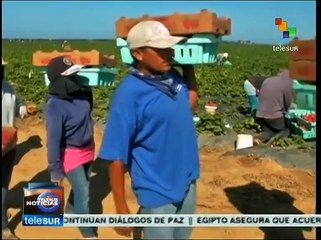 Jornaleras de San Quintín denuncian bajos sueldos y acoso sexual