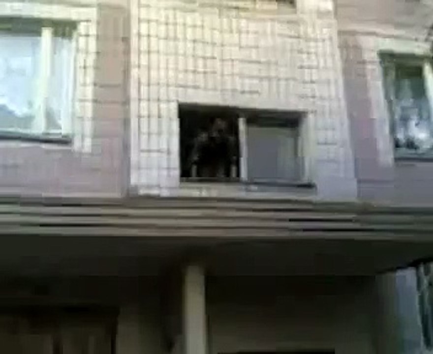 chute toit
