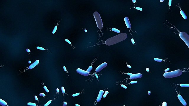 Bacterial resistance to antibiotics