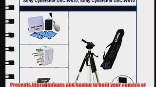 Tripod Plus Accessory Kit for Sony Cybershot DSC-W570 Sony Cybershot DSC-W560 Sony Cybershot