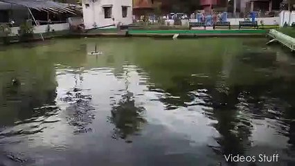 Earthquake in India- 25 April, 2015 - Video Dailymotion