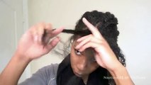 Easy French Twist on Big Hair | Protective Hairstyle 