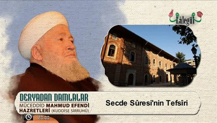 Secde Suresi'nin Tefsiri Mahmud Efendi Hazretleri