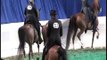 Arabian Horse Celebration Championship Show 2012, Mercy Mercy Me, Apollopalooza half Arabian Horse