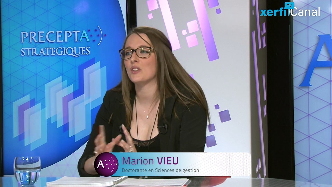 Marion Vieu, Xerfi Canal Les multinationales émergentes - Synthèse