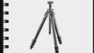 Gitzo GT3542L Mountaineer Tripod Ser.3 4S Long (Black)