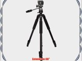 Xit XT80TRPRO Elite Professional 80-Inch 4 Leg Section Tripod with Foam Grips Carrying Handle