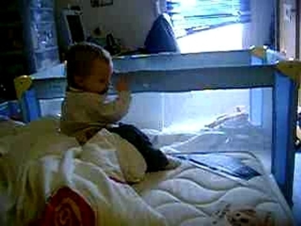 nolann