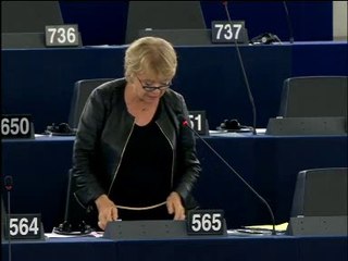 Eva Joly: "agir vite et fort pour réguler la quantité grandissante de crédits gérés en dehors du système bancaire classique"