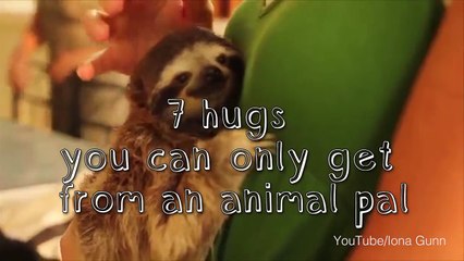 Quand ça va pas, demandez un calin a votre compagnon