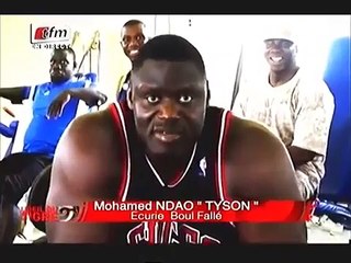 TYSON se moque de GRIS BORDEAUX