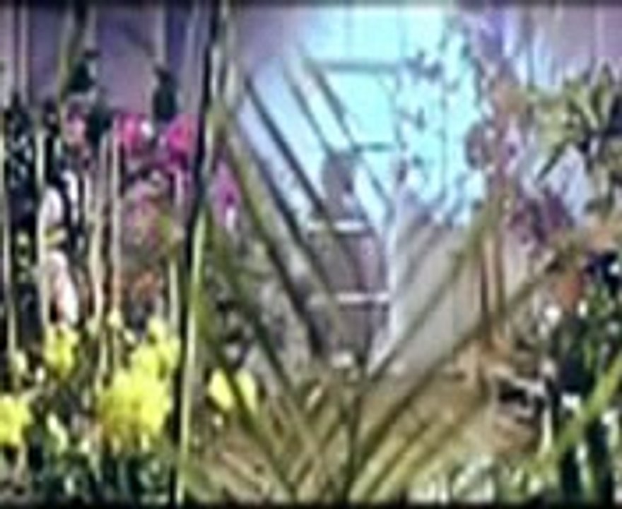 Bruce Lee vs Casanova Wong