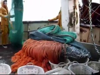 chalutier morgane-bihan en pêche