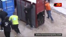 Angry Bull escapes from cage