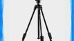 VANGUARD Alta Ca 204Ap Tripod with Ph-33 Pan Head