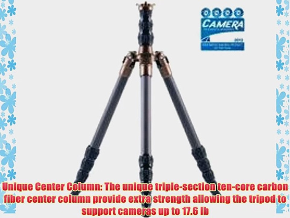 3LT Evolution 2 Brian Travel Tripod