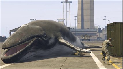 Mod Baleine de GTA 5