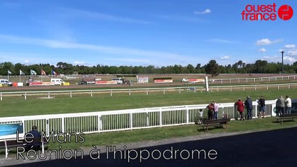 Réunion à l'hippodrome du Mans