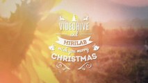 After Effects Project Files - Christmas New Year Labels - VideoHive 9560529