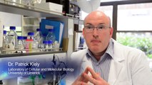 The Biology of Cancer, 60 seconds of inspiration, Dr Patrick Kiely, University of Limerick