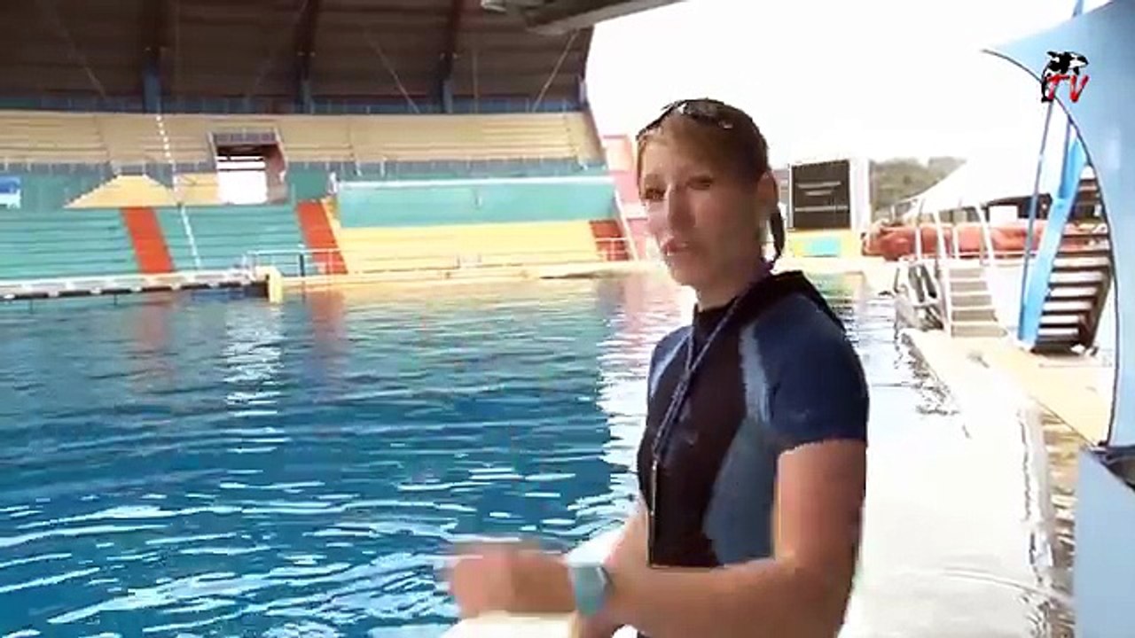 Marineland TV - Reportage N°78 - Découvrez l'équipe en charge de l'orque FREYA (2/2)