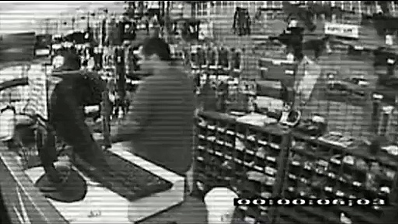 thief and dog