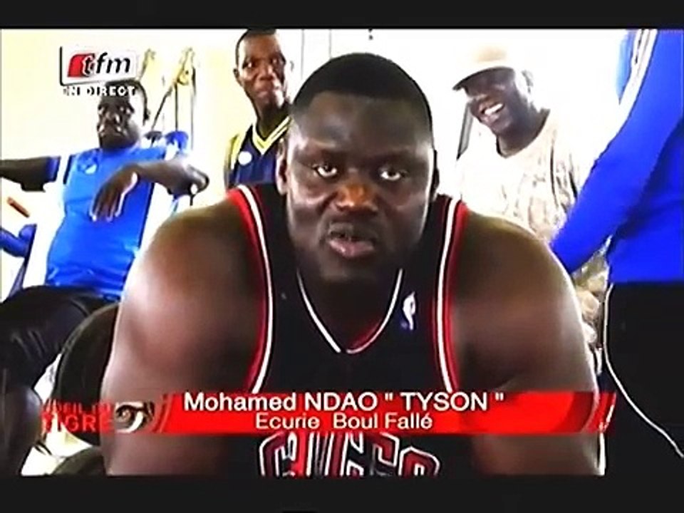 Quand Tyson taquine Gris bordeaux de Fass