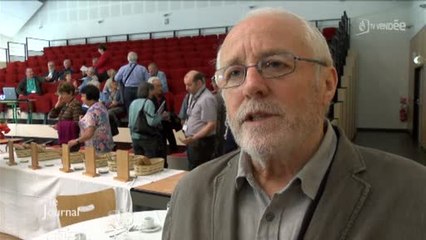 Sauvegarde des moulins : La Fédération Française en Vendée