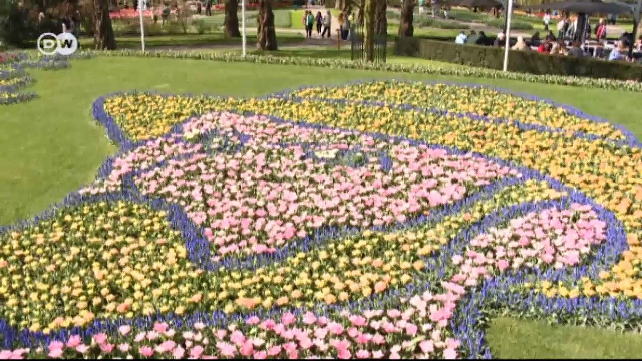 Keukenhof feiert 125 Jahre van Gogh | Euromaxx