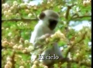 Santo Santo Santo - Marcos Witt