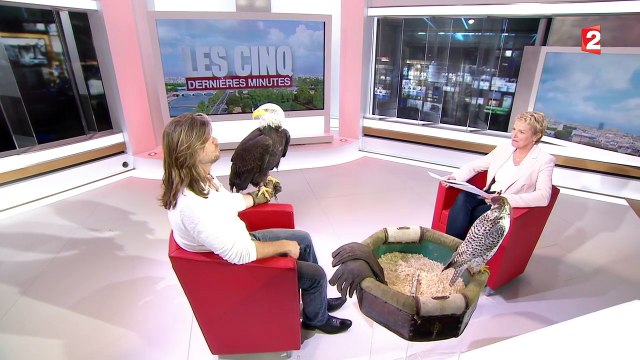 Philippe Hertel présente Les aigles des remparts de Provins