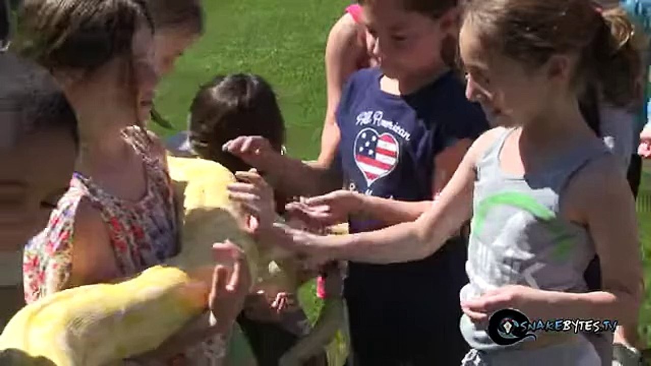 Biggest Snakes in the World! SnakeBytesTV - YouTube