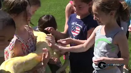 Biggest Snakes in the World! SnakeBytesTV - YouTube