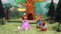SOFIA THE FIRST Disney Junior Sofia and Clover Meet Nickelodeon Peter Rabbit a Toy Parody